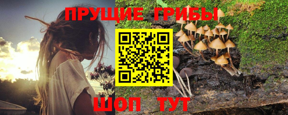 Псилоцибиновые грибы MAGIC MUSHROOMS  Вход с VPN  Гудермес  Псилоцибиновые грибы Psilocybe 